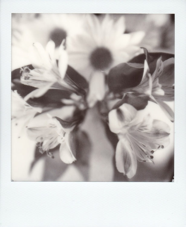 20211014-Arkansas-SX70-BW-b-©JamesECockroft-161-1