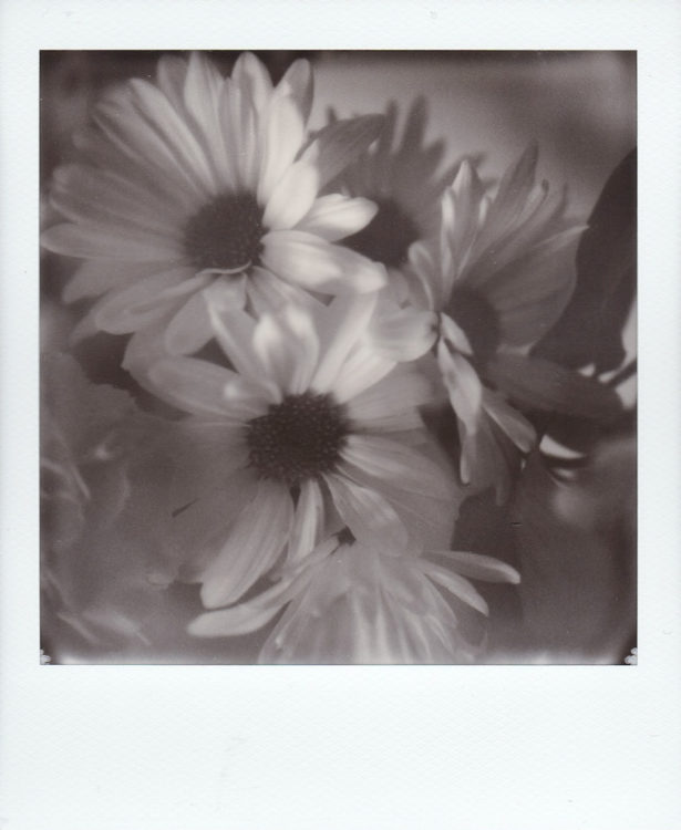 20211014-Arkansas-SX70-BW-b-©JamesECockroft-161