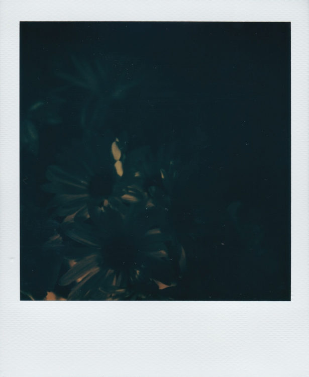 20211014-Arkansas-SX70-Color-a-©JamesECockroft-162