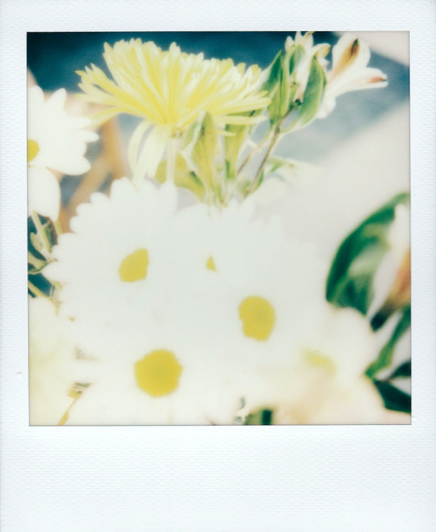 20211014-Arkansas-SX70-Color-b-©JamesECockroft-163-1