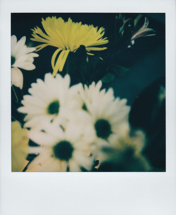 20211014-Arkansas-SX70-Color-b-©JamesECockroft-163