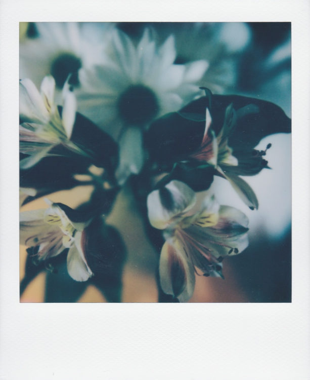 20211123-Arkansas-Denver-600-SLR670S-a-©JamesECockroft-176