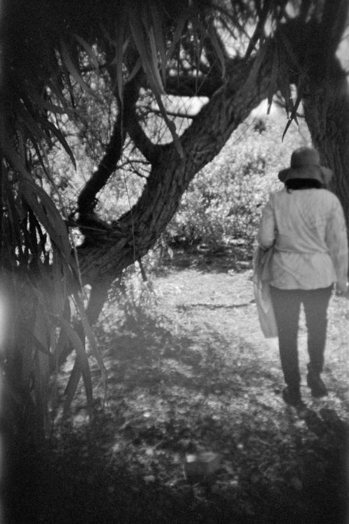 Hana, Grapevine Lake, 2021