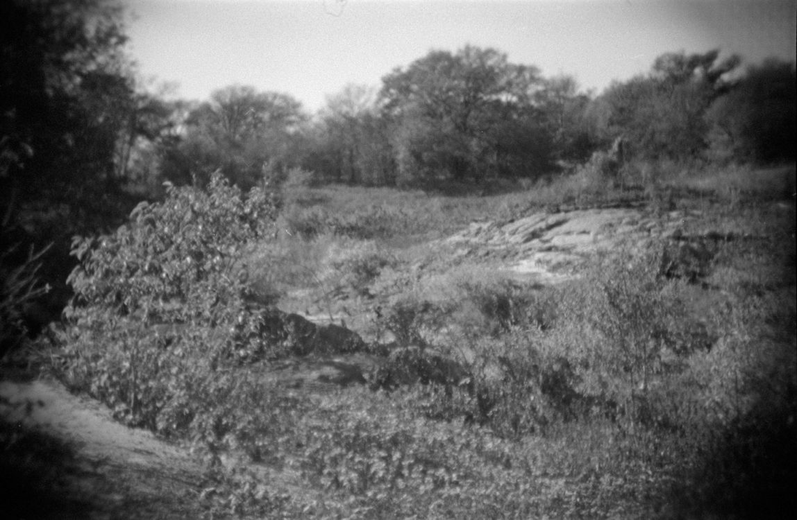 Grapevine Lake, 2021