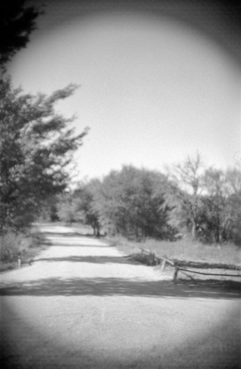 Grapevine Lake, 2021