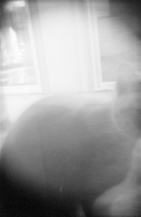 20211130-140838-135BC-thin-film-test©JamesECockoft-1393