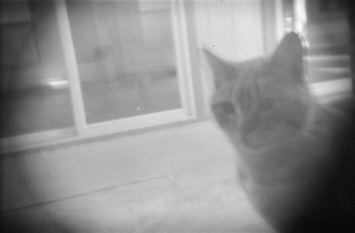 Tandori, Thanksgiving, Irving, TX 2021