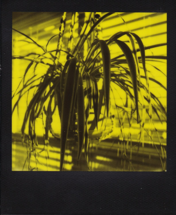 20211123-DenverAfter-BlackYellow-SLR670S-b-©JamesECockroft-181-1