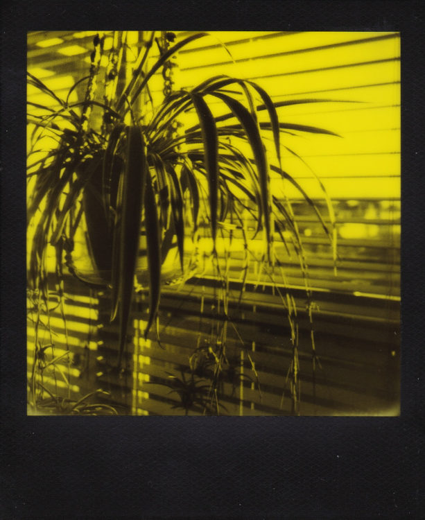 20211123-OneStep-b-©JamesECockroft-183-3