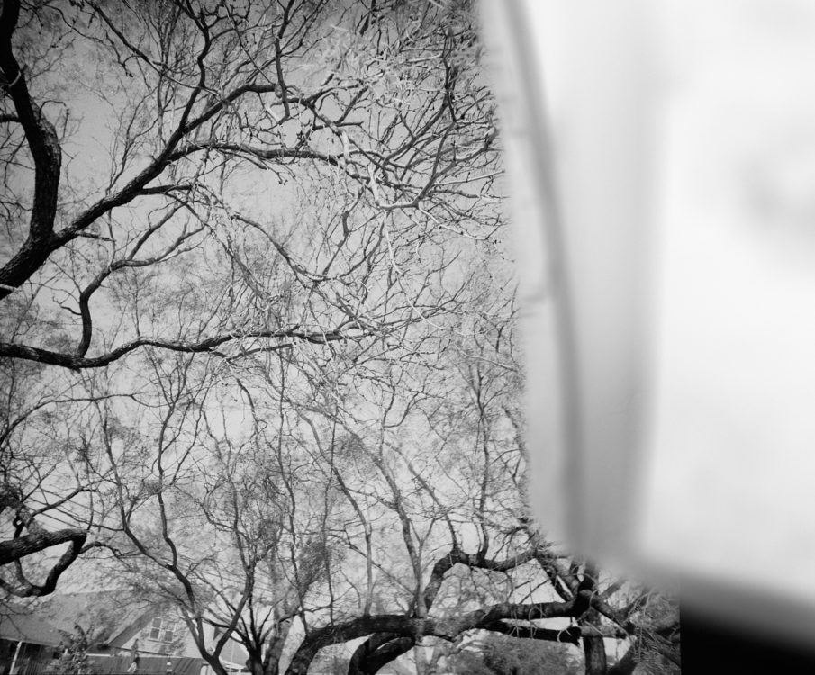 Frame Seven-CURLY film