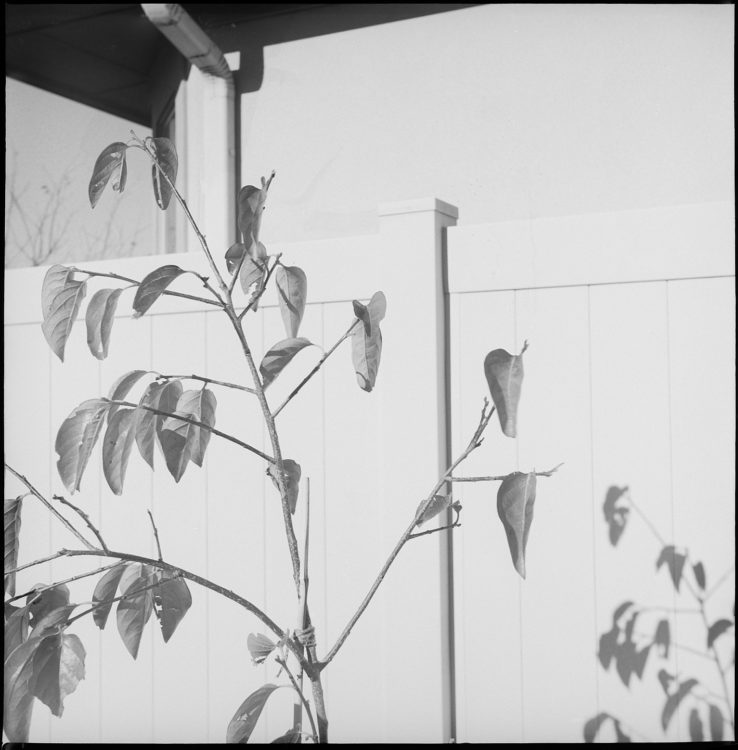 20211219-154253-Wardflex-again©JamesECockoft-1457