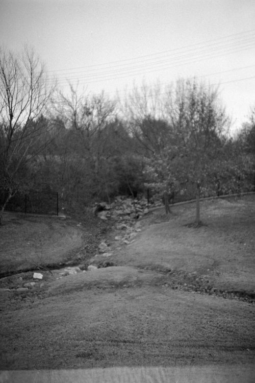 20220117-095044-LC-A-shutter-isnt-sticky-after-all©JamesECockoft-1534