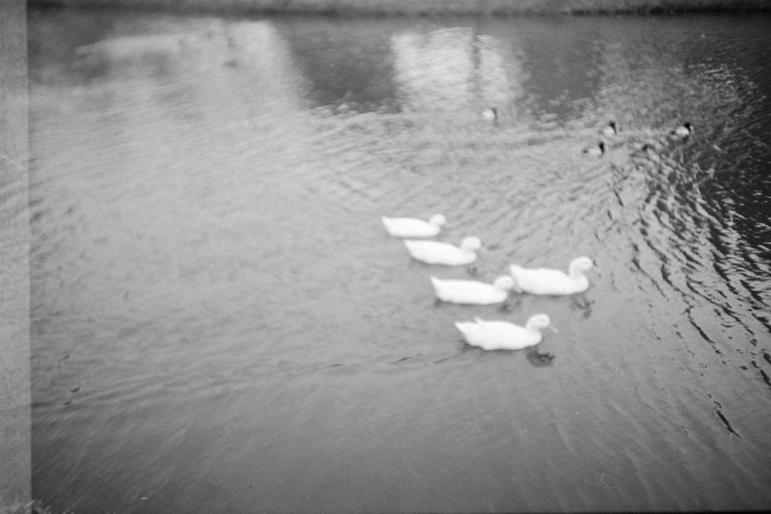 20220117-095052-LC-A-shutter-isnt-sticky-after-all©JamesECockoft-1535