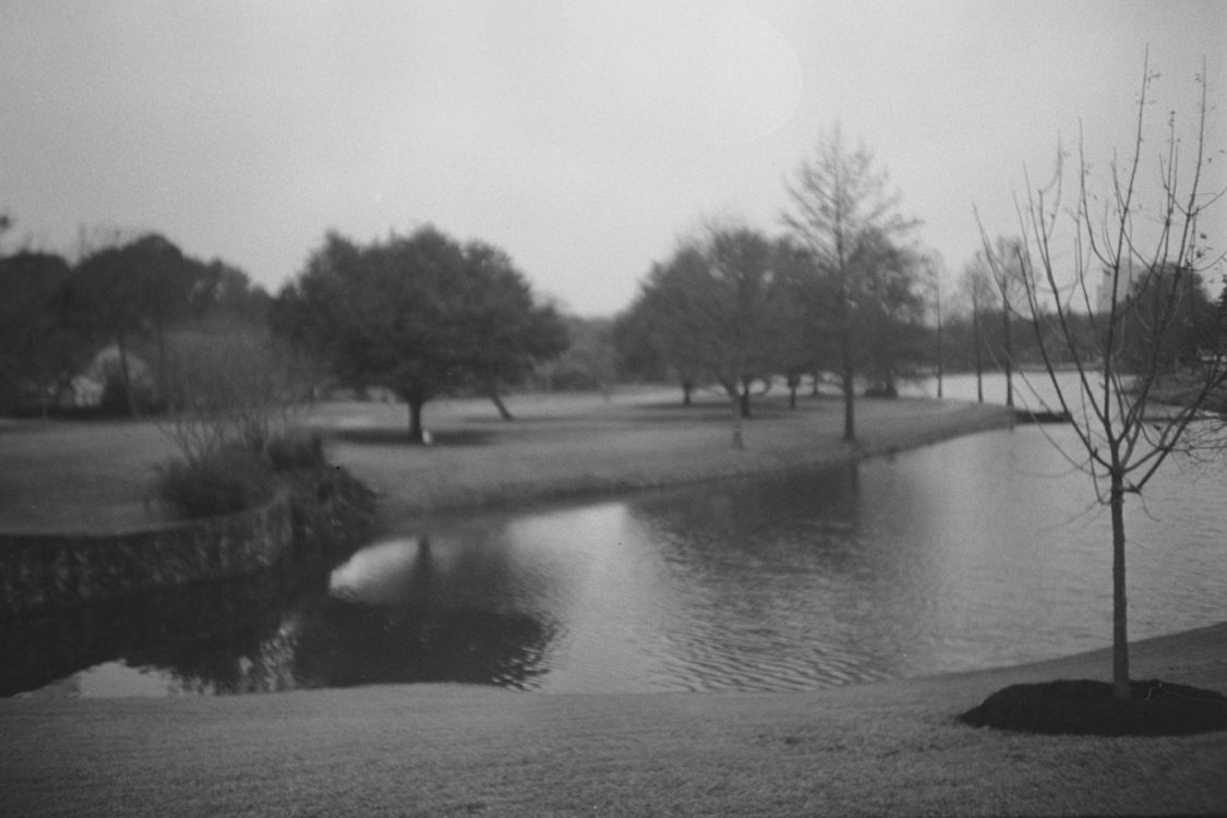 20220117-095103-LC-A-shutter-isnt-sticky-after-all©JamesECockoft-1536