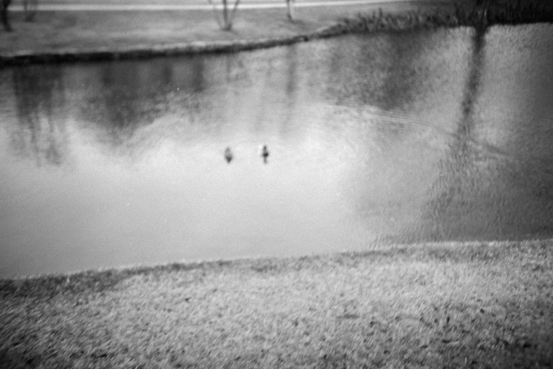 20220117-095114-LC-A-shutter-isnt-sticky-after-all©JamesECockoft-1537