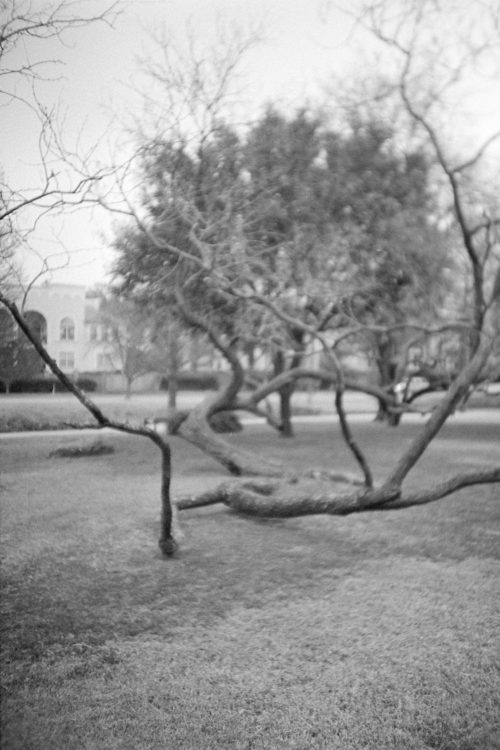 20220117-095136-LC-A-shutter-isnt-sticky-after-all©JamesECockoft-1539