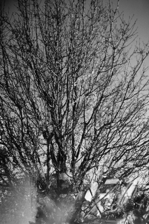 20220117-095343-LC-A-shutter-isnt-sticky-after-all©JamesECockoft-1557