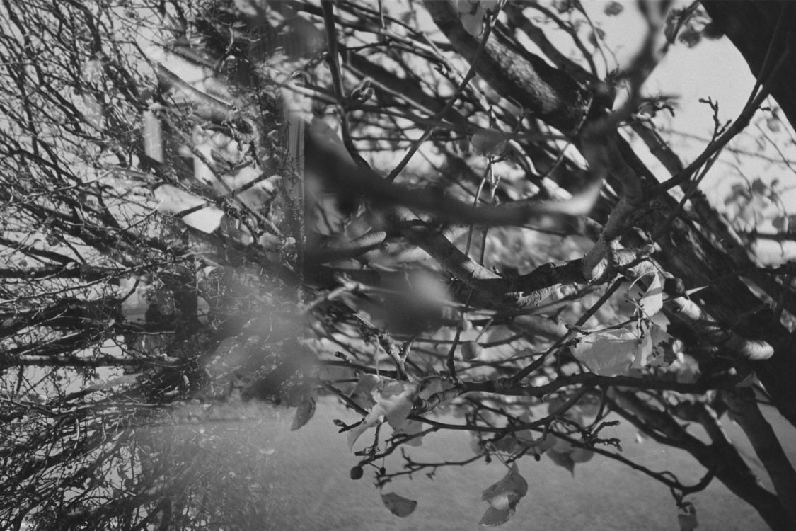 20220117-095351-LC-A-shutter-isnt-sticky-after-all©JamesECockoft-1558