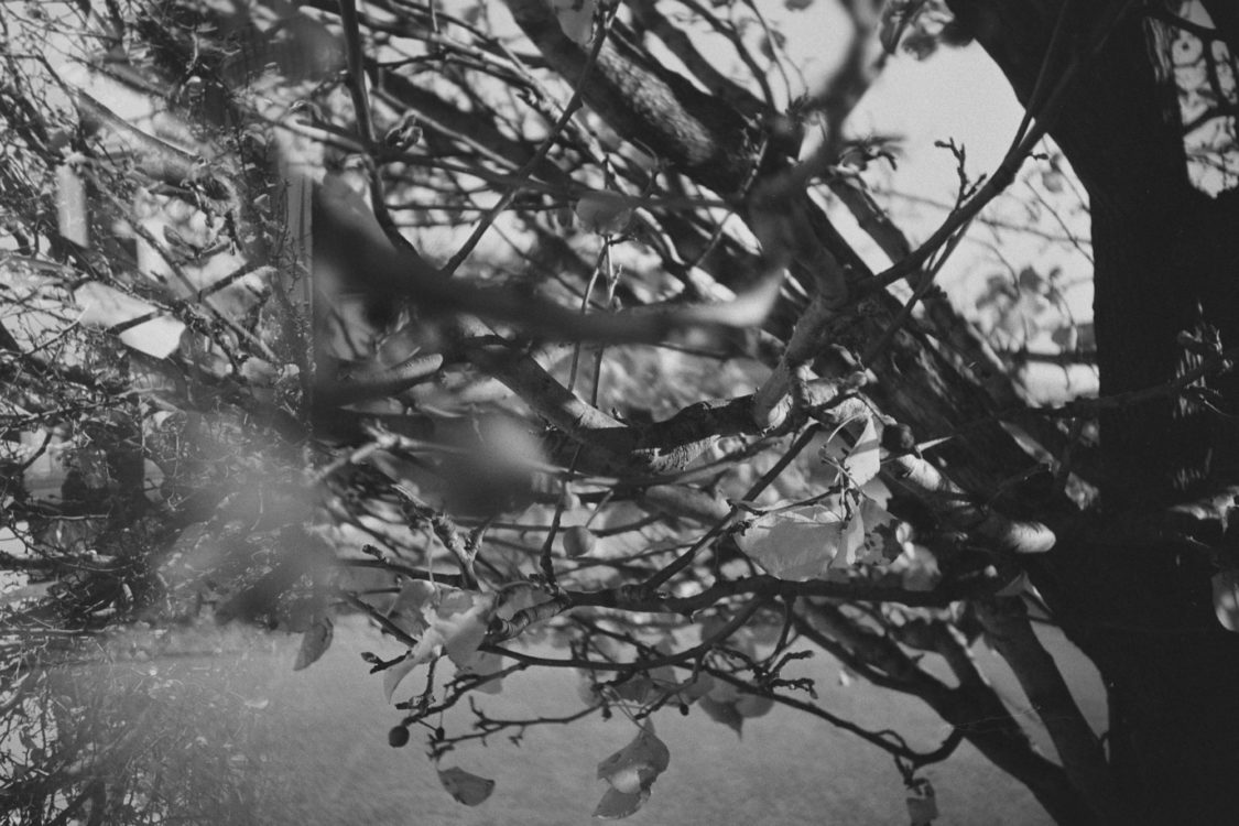 20220117-095405-LC-A-shutter-isnt-sticky-after-all©JamesECockoft-1560