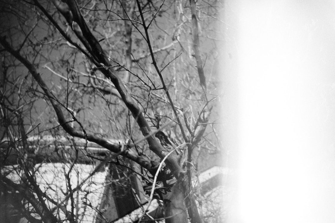 20220117-095414-LC-A-shutter-isnt-sticky-after-all©JamesECockoft-1561