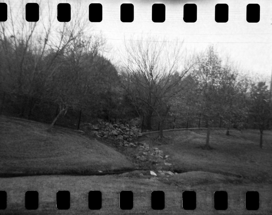 20220117-100354-random-127-test©JamesECockoft-1570-1