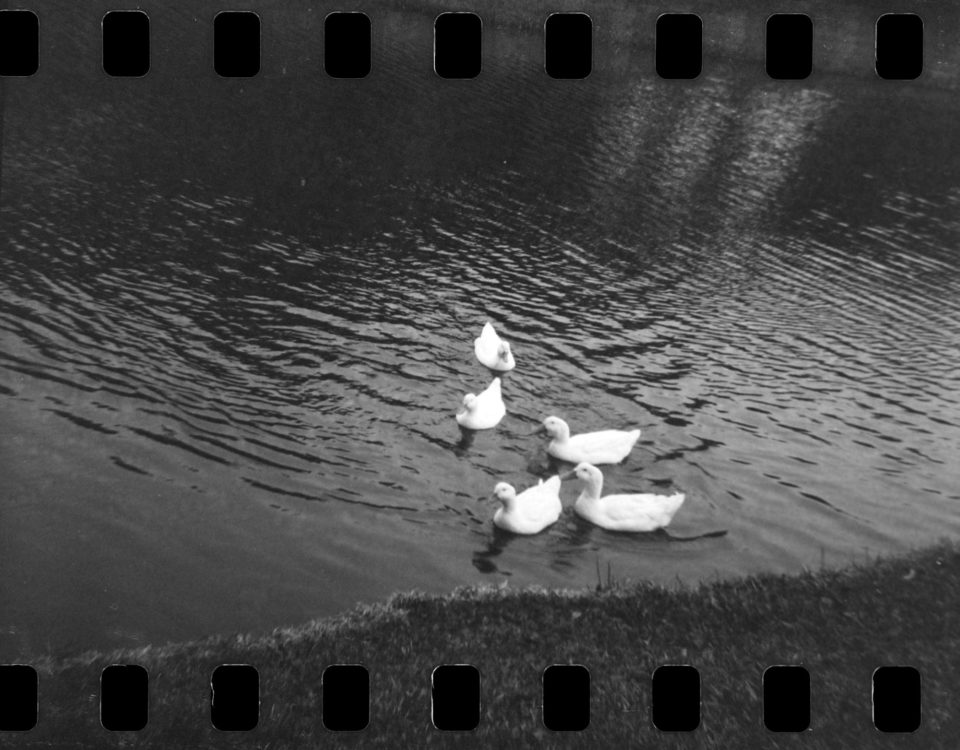 20220117-100359-random-127-test©JamesECockoft-1571