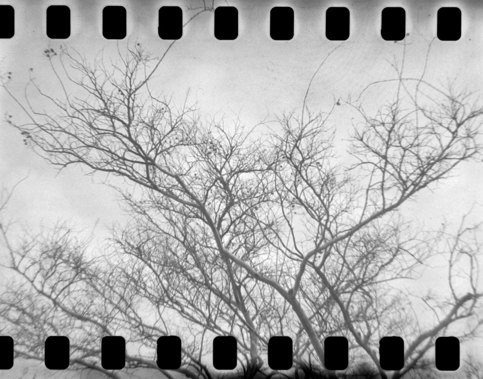 20220117-100414-random-127-test©JamesECockoft-1574