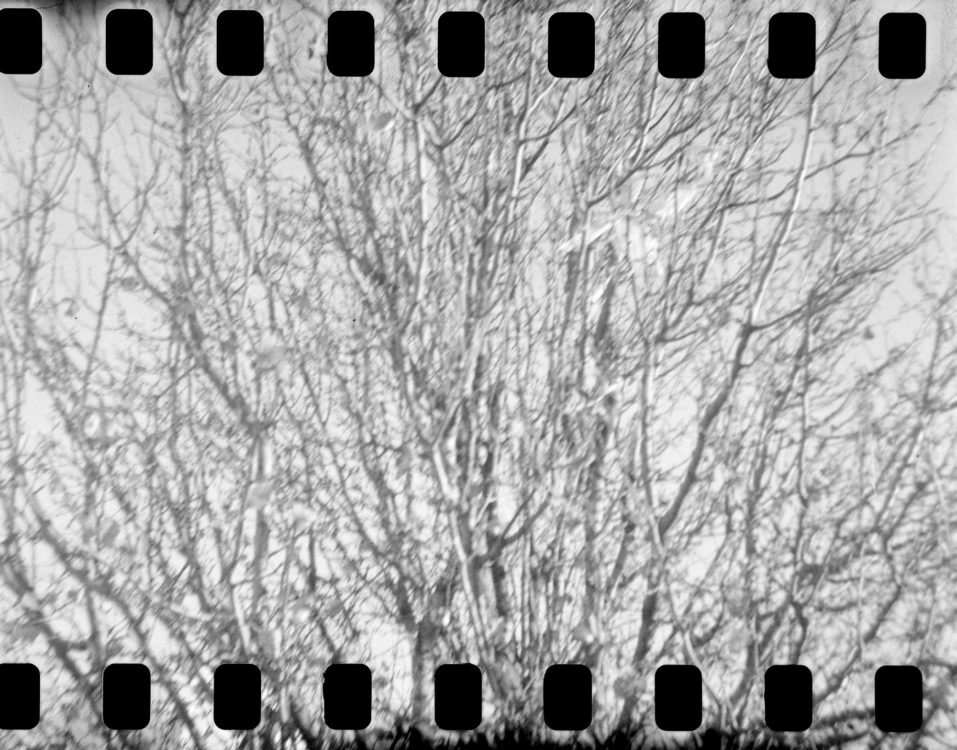 20220117-100423-random-127-test©JamesECockoft-1576