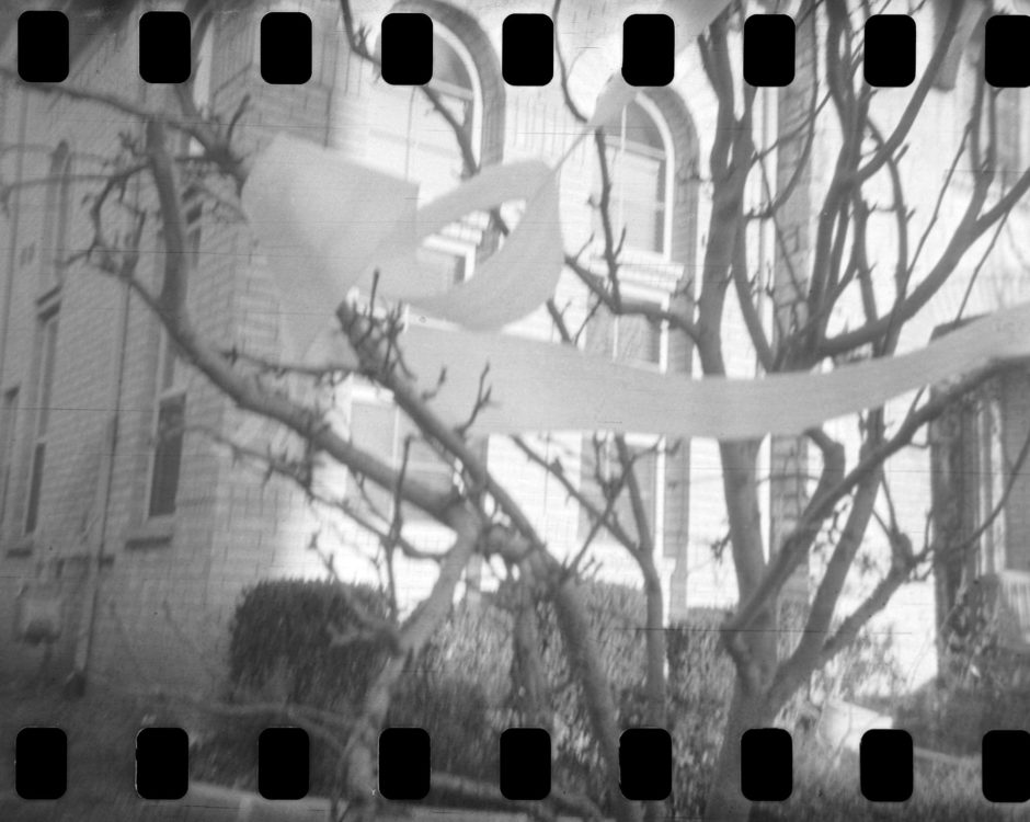 20220117-100428-random-127-test©JamesECockoft-1577