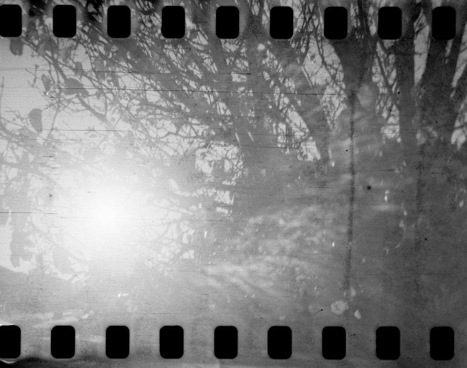 20220117-100434-random-127-test©JamesECockoft-1578-2