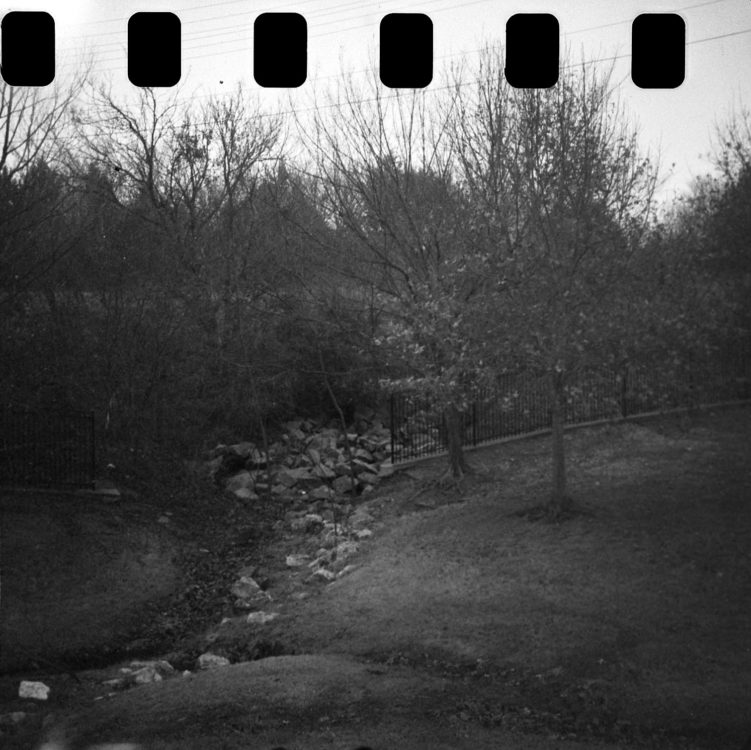 20220117-100603-random-126-test©JamesECockoft-1581