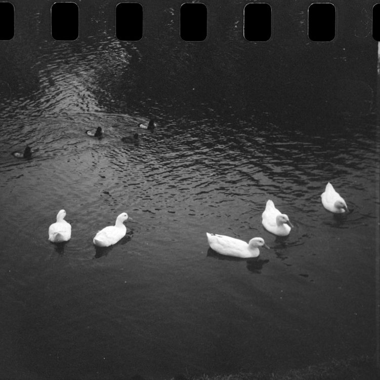 20220117-100653-random-126-test©JamesECockoft-1585