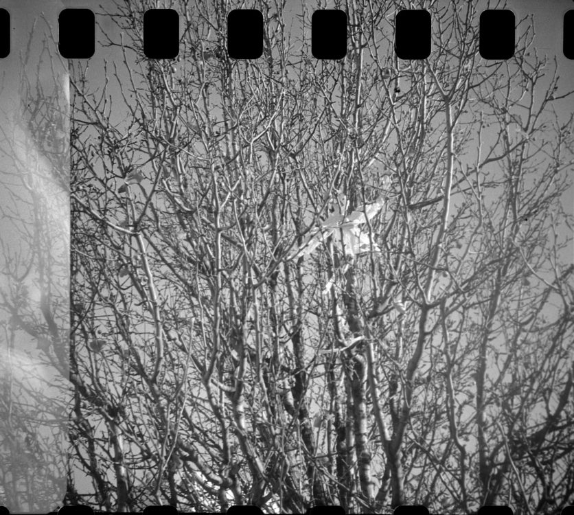 20220117-100728-random-126-test©JamesECockoft-1590