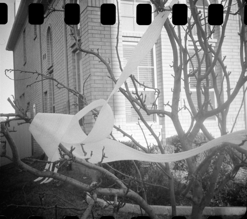 20220117-100731-random-126-test©JamesECockoft-1591