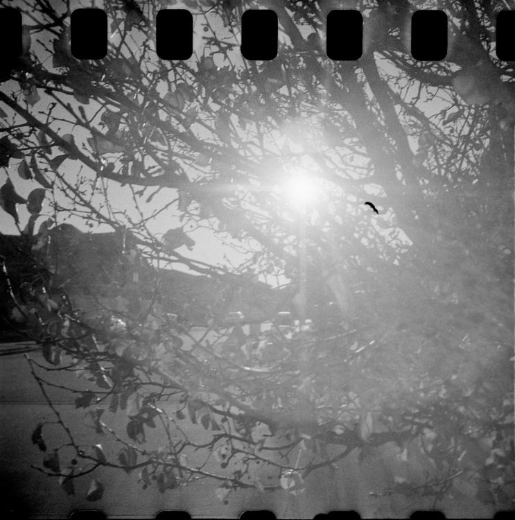 20220117-100735-random-126-test©JamesECockoft-1592