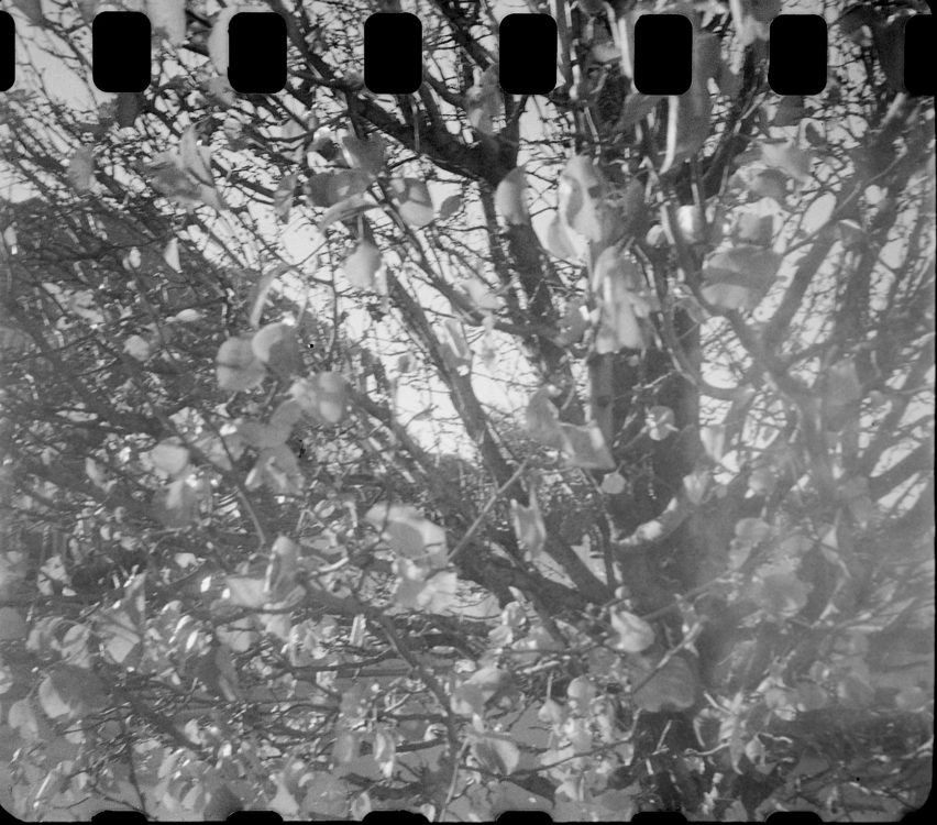 20220117-100742-random-126-test©JamesECockoft-1594