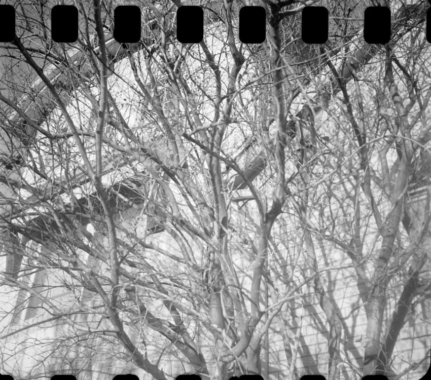 20220117-100745-random-126-test©JamesECockoft-1595