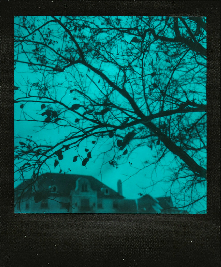 20220205-IceSnowBlackBlue1a-©JamesECockroft-194-2