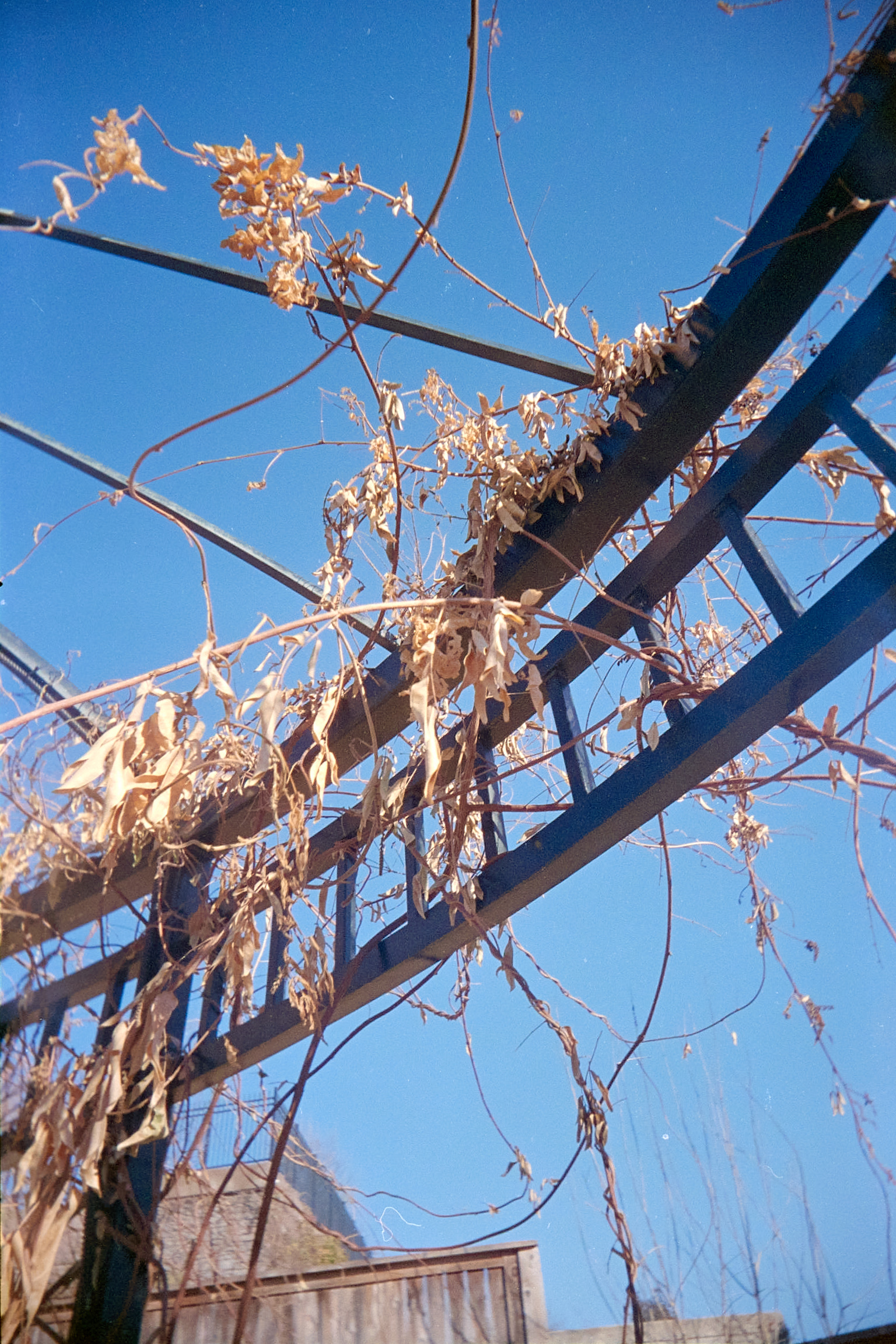 20220214-140407-RUWS-vs-VUWS-©JamesECockroft-146