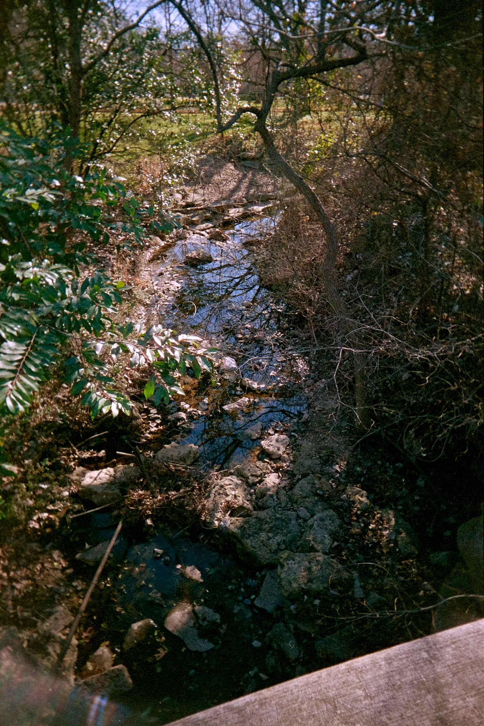 20220214-140449-RUWS-vs-VUWS-©JamesECockroft-151