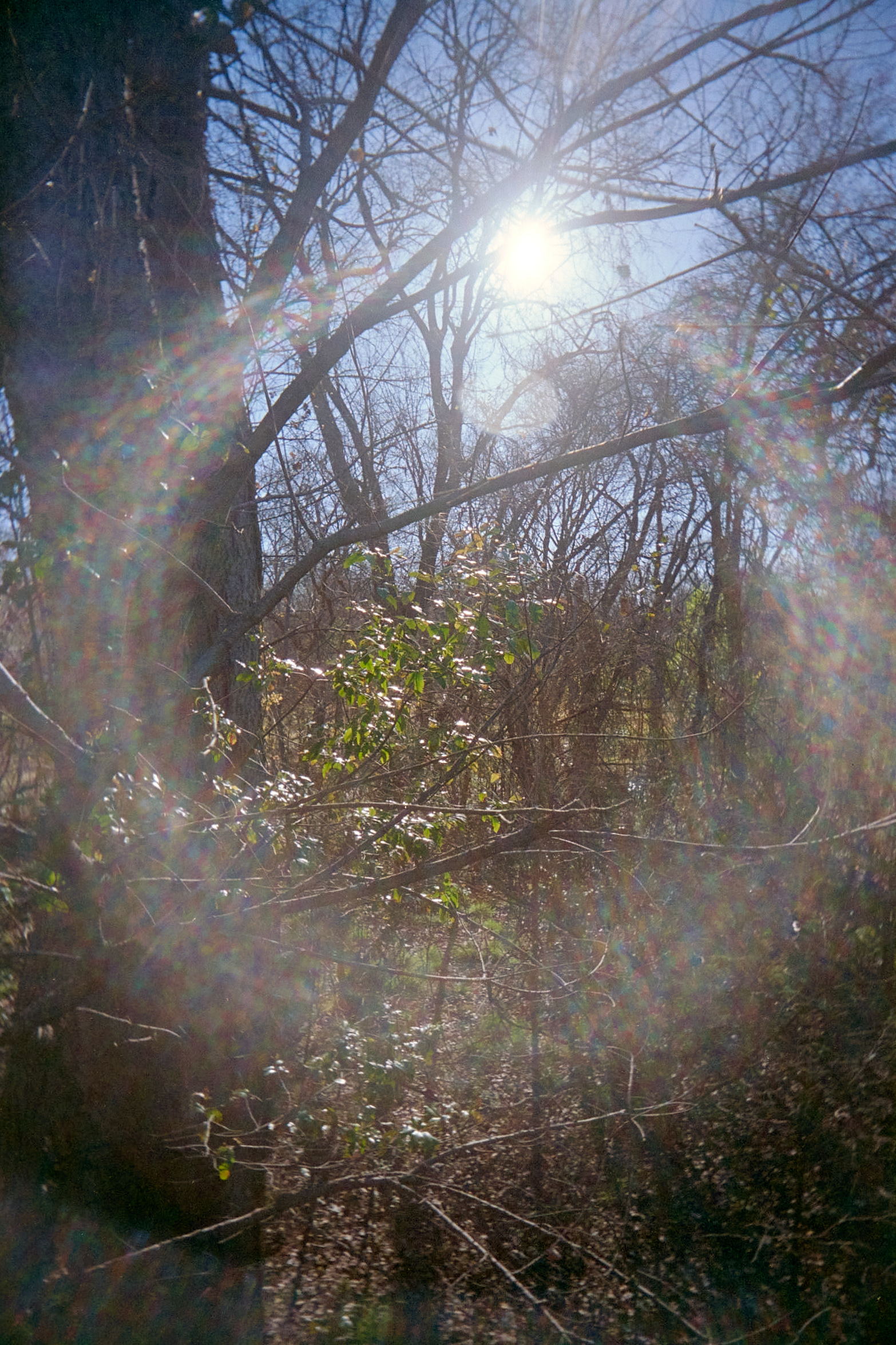 20220214-140507-RUWS-vs-VUWS-©JamesECockroft-154