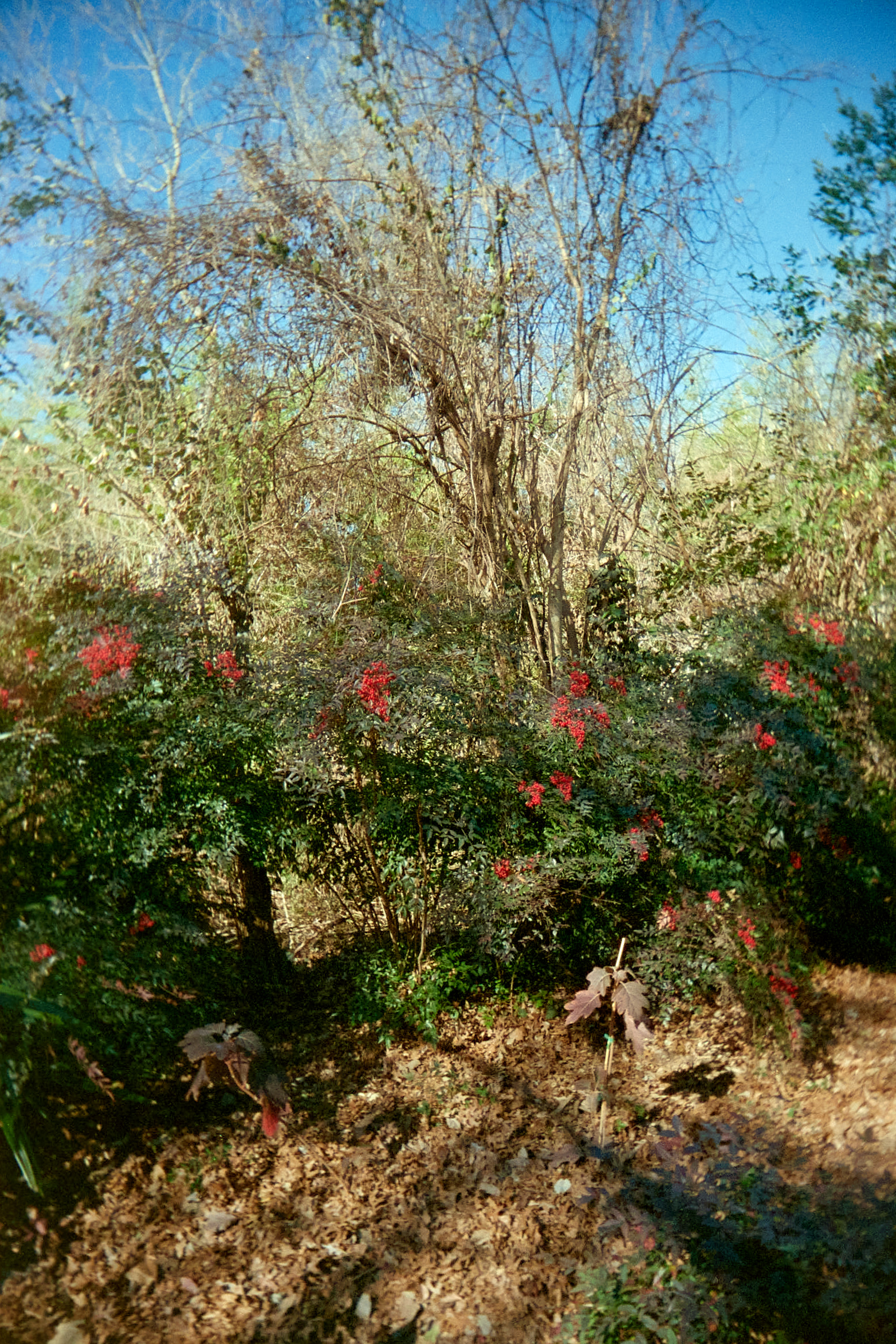 20220214-140725-RUWS-vs-VUWS-©JamesECockroft-175