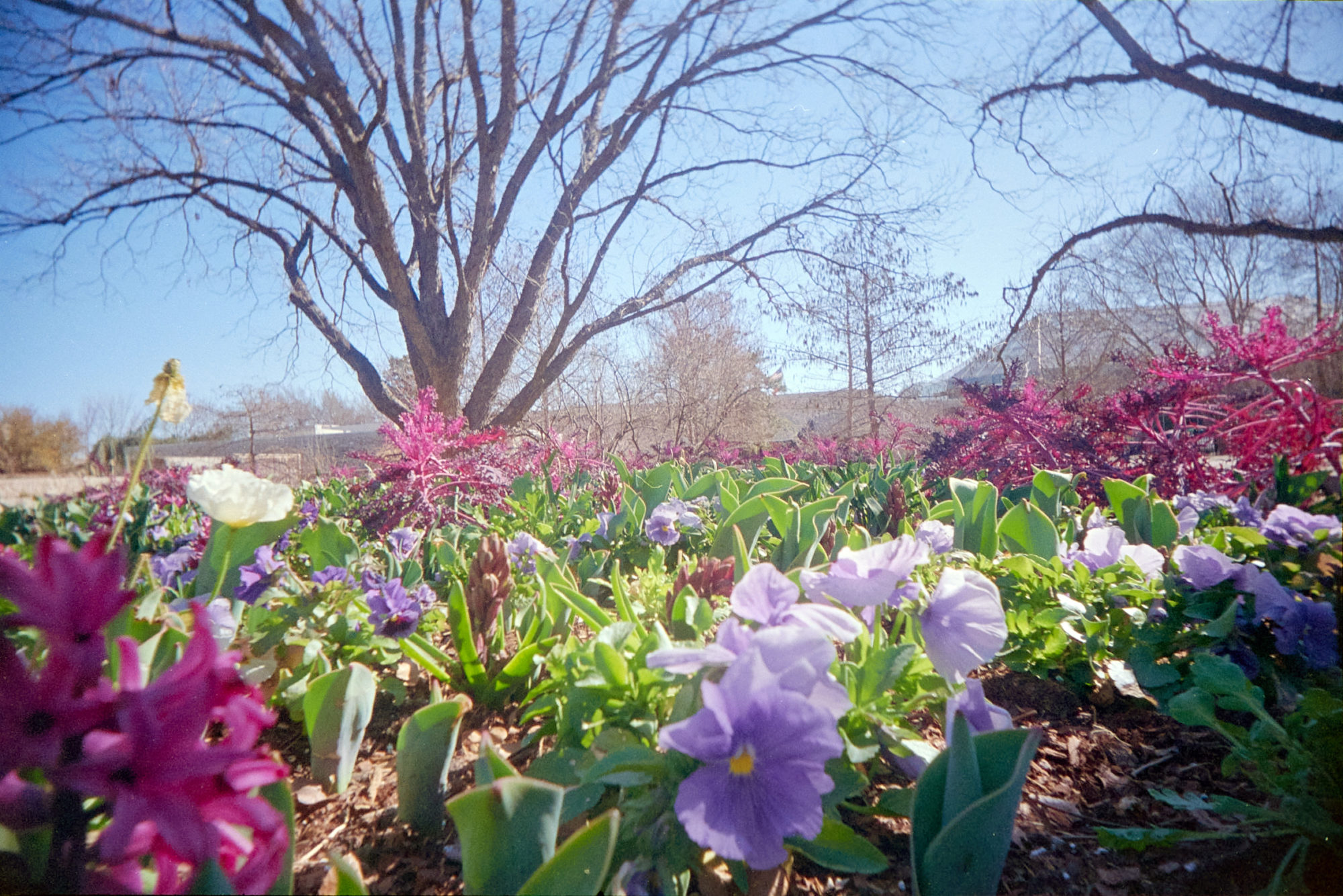 20220214-140747-RUWS-vs-VUWS-©JamesECockroft-178