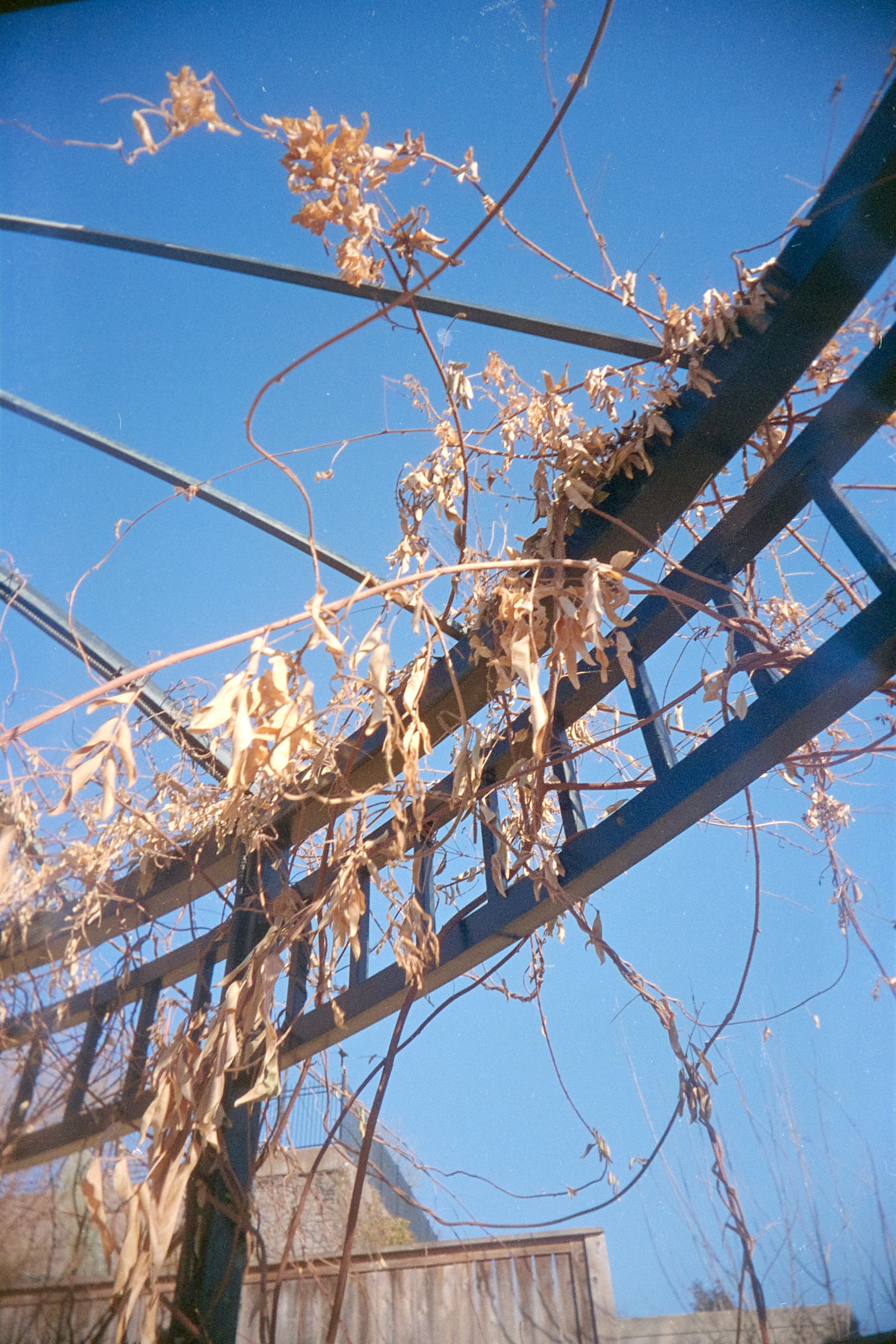 20220214-141653-VUWSvsRUWS-©JamesECockroft-187