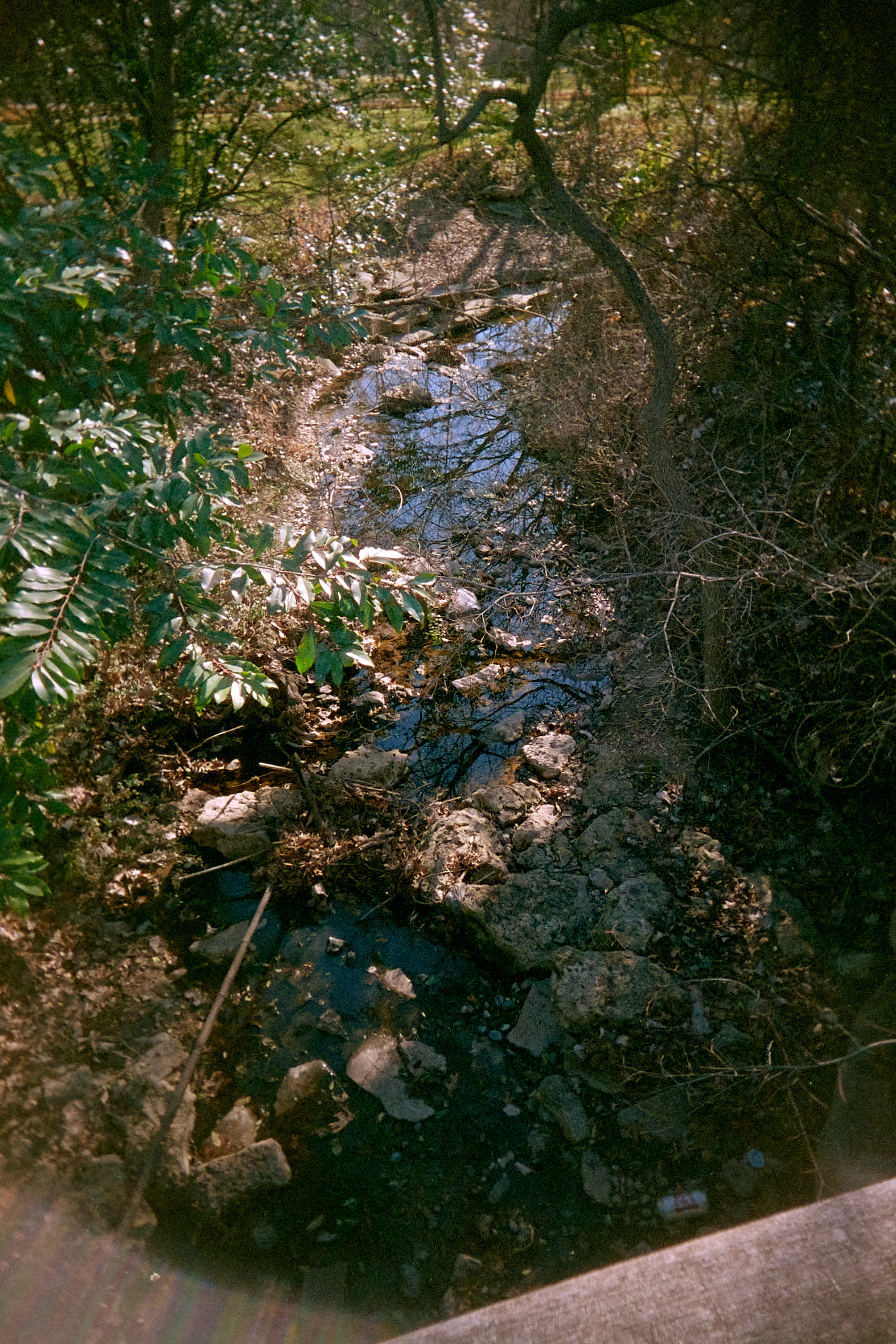 20220214-141739-VUWSvsRUWS-©JamesECockroft-191