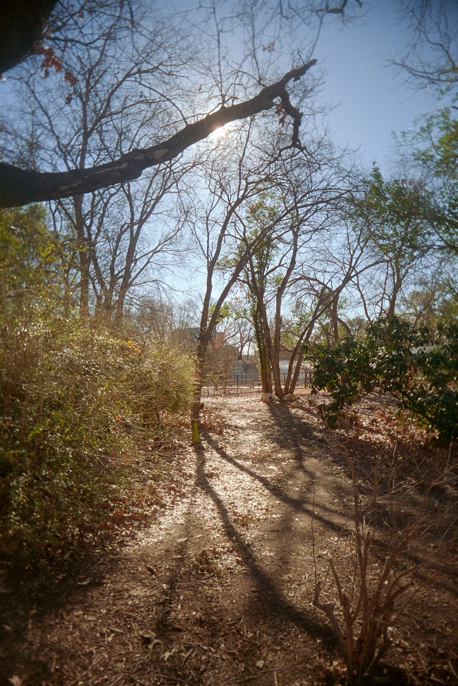 20220214-141854-VUWSvsRUWS-©JamesECockroft-204