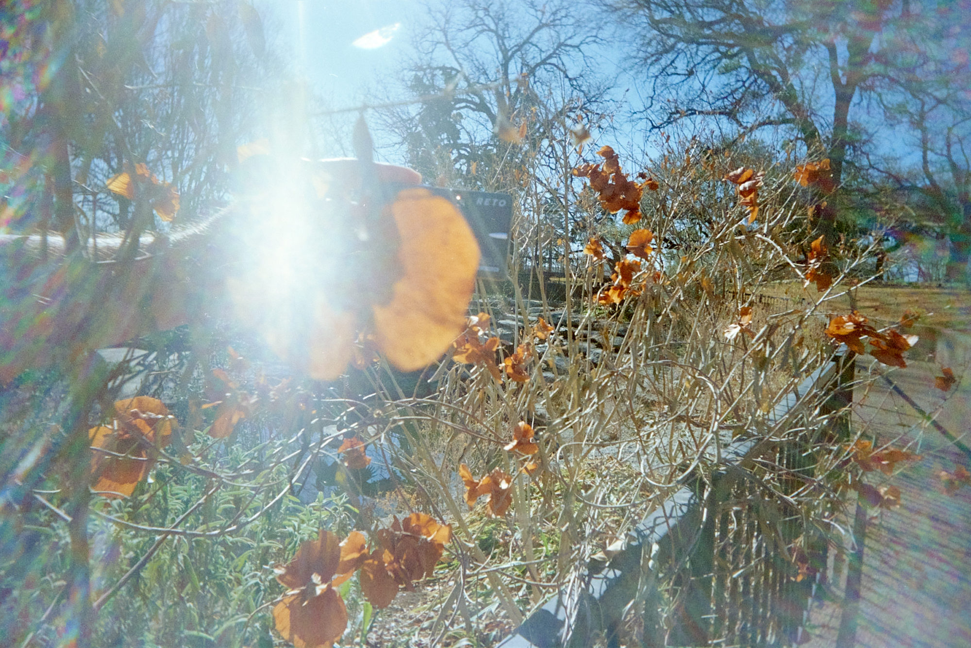 20220214-141939-VUWSvsRUWS-©JamesECockroft-214