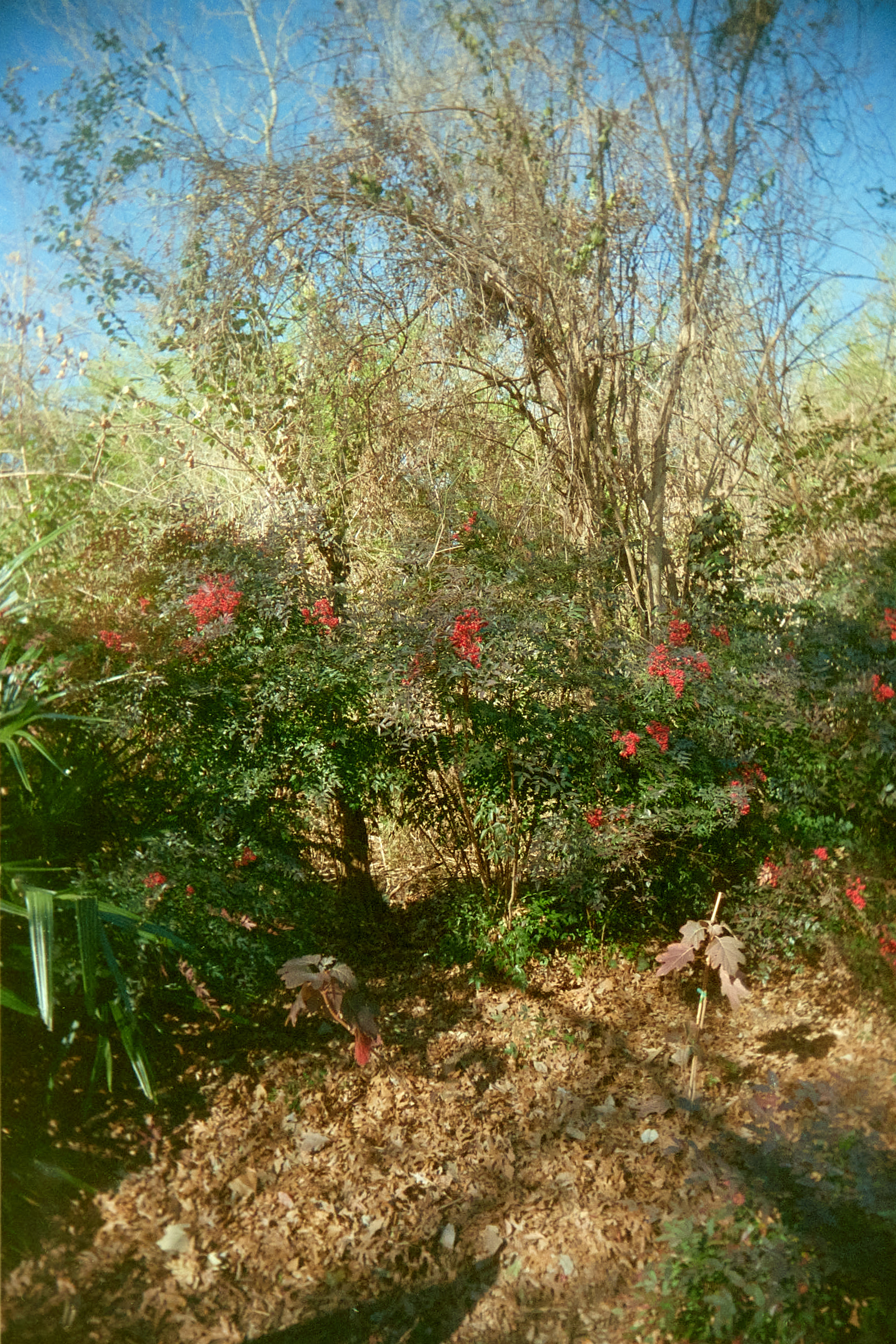 20220214-141949-VUWSvsRUWS-©JamesECockroft-216