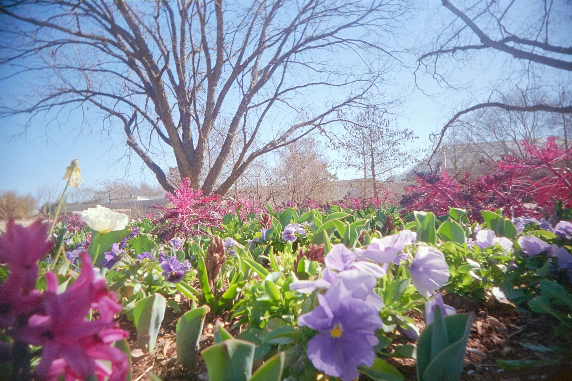 20220214-142003-VUWSvsRUWS-©JamesECockroft-219