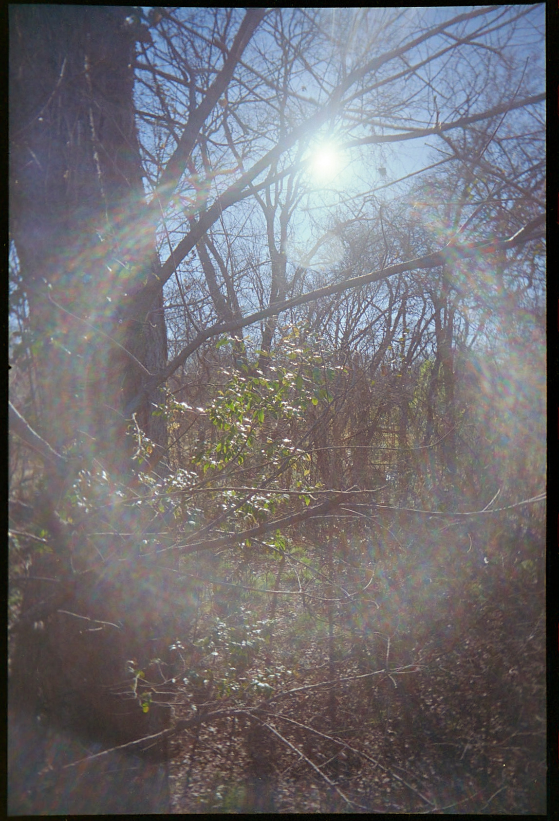 20220216-072711-RUWS-vs-VUWS-internal-mask©JamesECockoft-2291